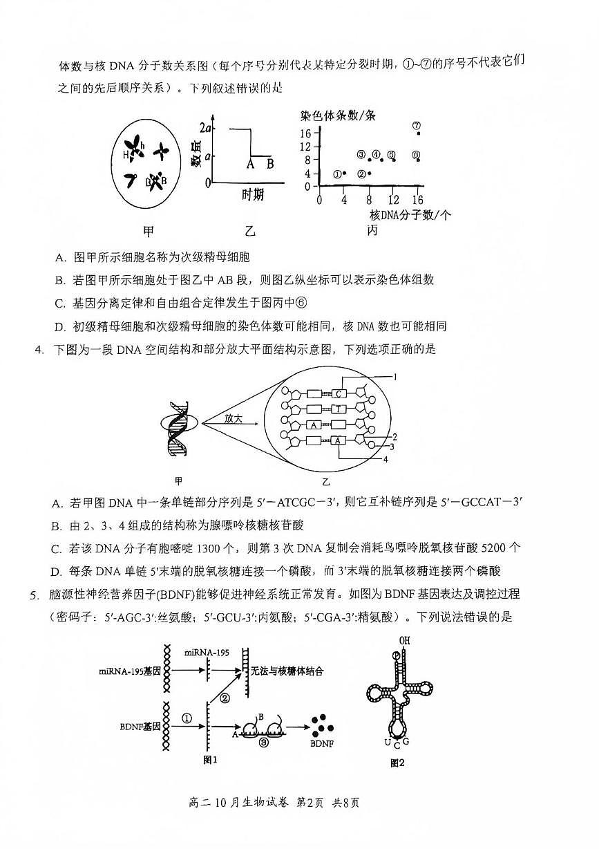 湖北省2025-2026学年高二上学期10月月考生物试题第2页