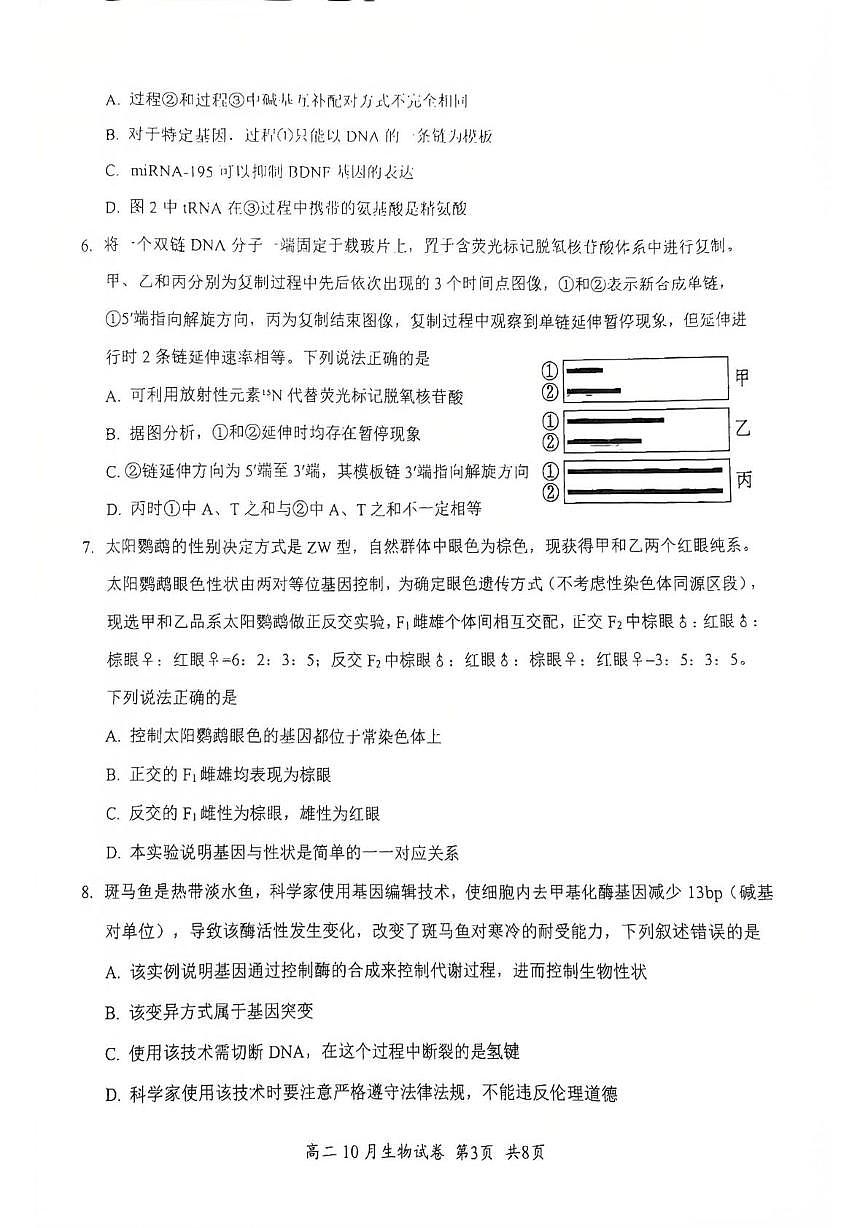 湖北省2025-2026学年高二上学期10月月考生物试题第3页