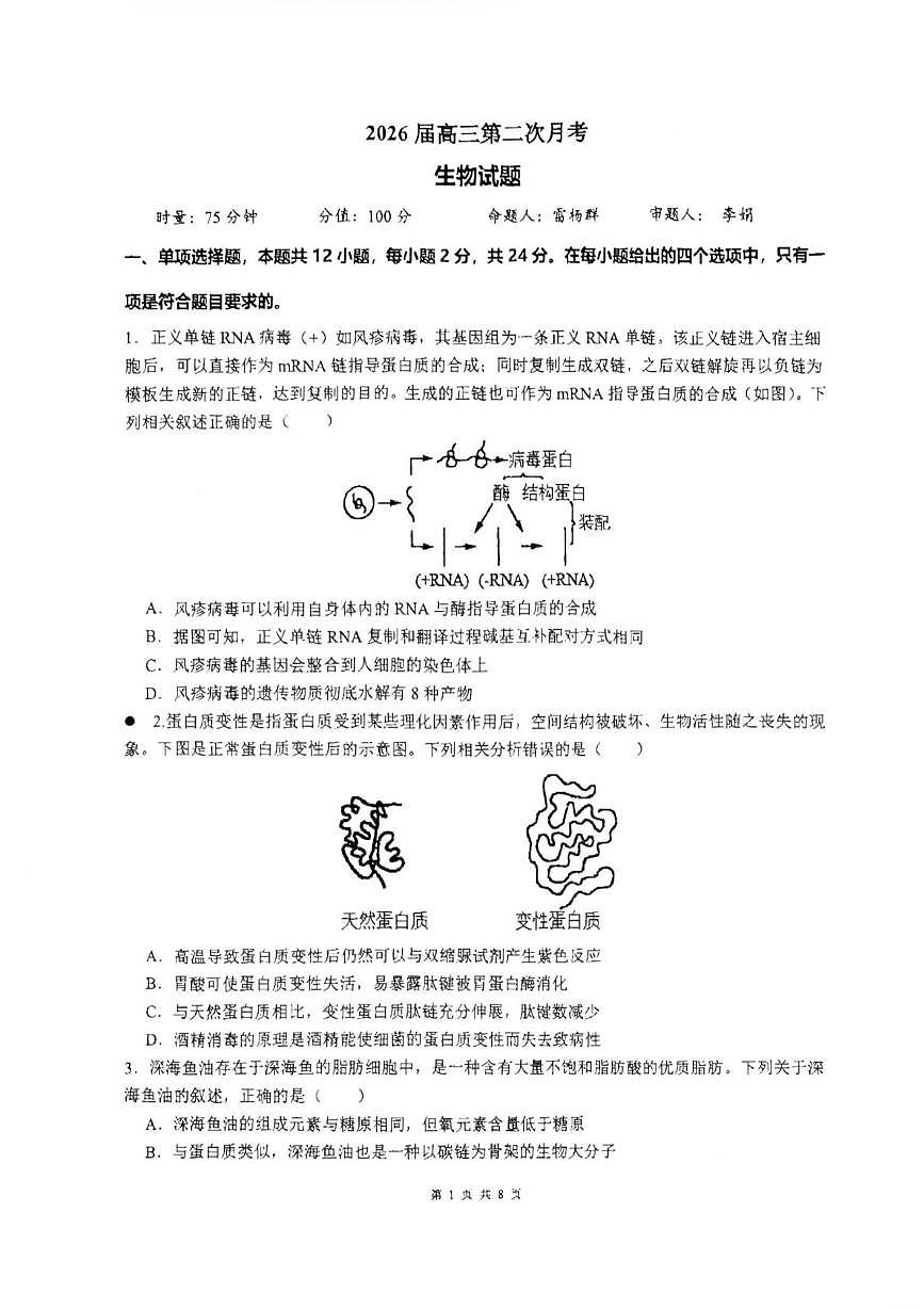 湖南省衡阳市雁峰区衡阳市第八中学2025-2026学年高三上学期10月月考生物试题第1页