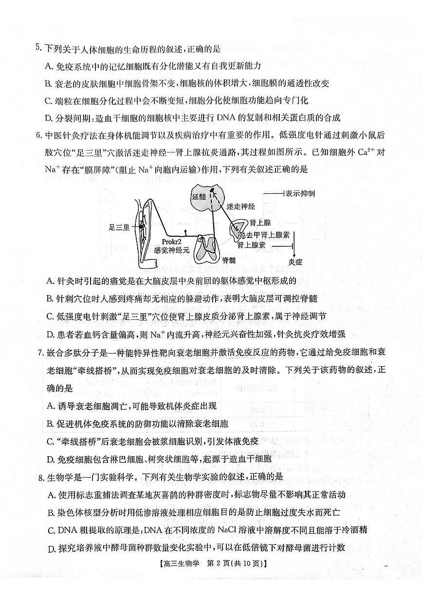 江苏省徐州市运河中学北校2025-2026学年高三上学期月考生物试卷第2页