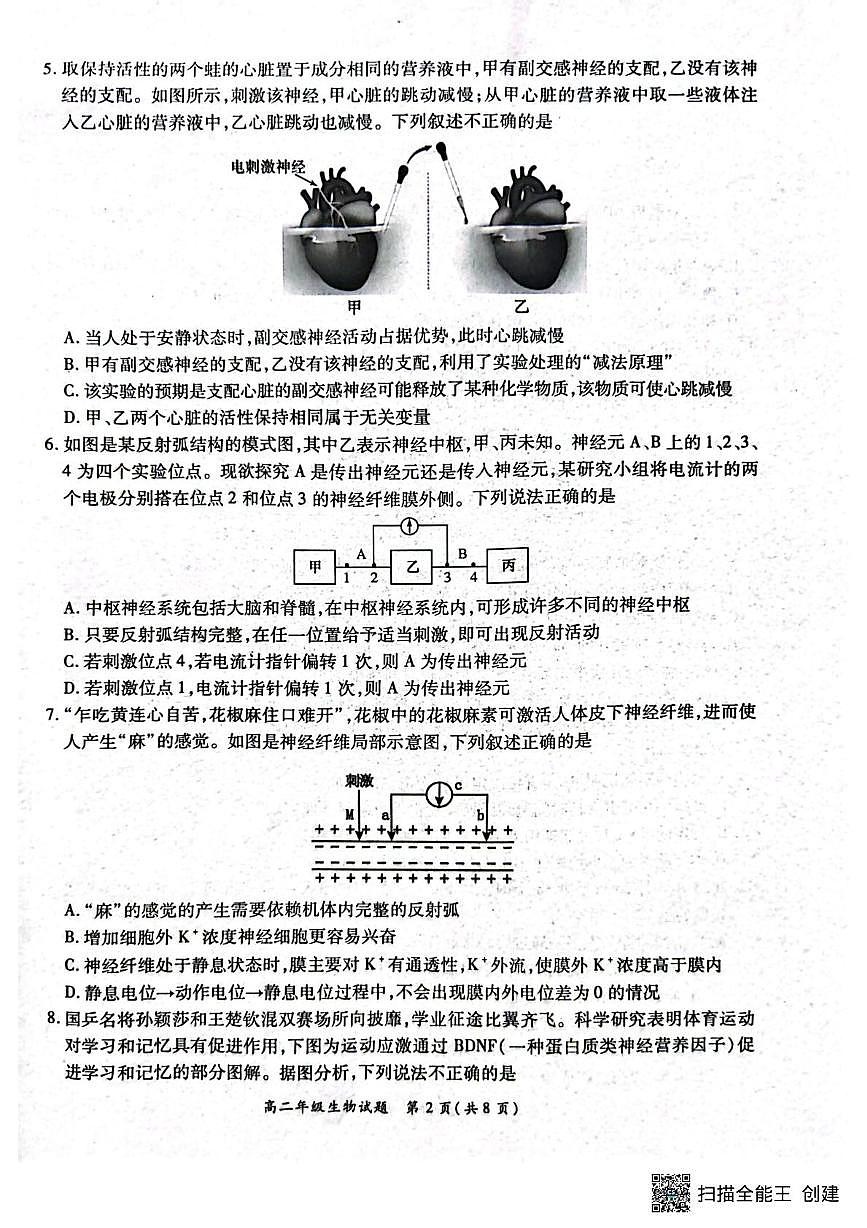 河南省南阳市六校2025-2026学年高二上学期10月联考生物试题（月考）第2页