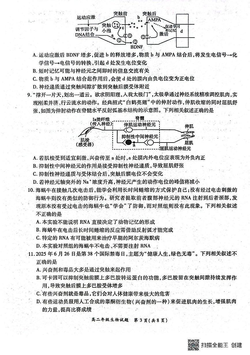 河南省南阳市六校2025-2026学年高二上学期10月联考生物试题（月考）第3页