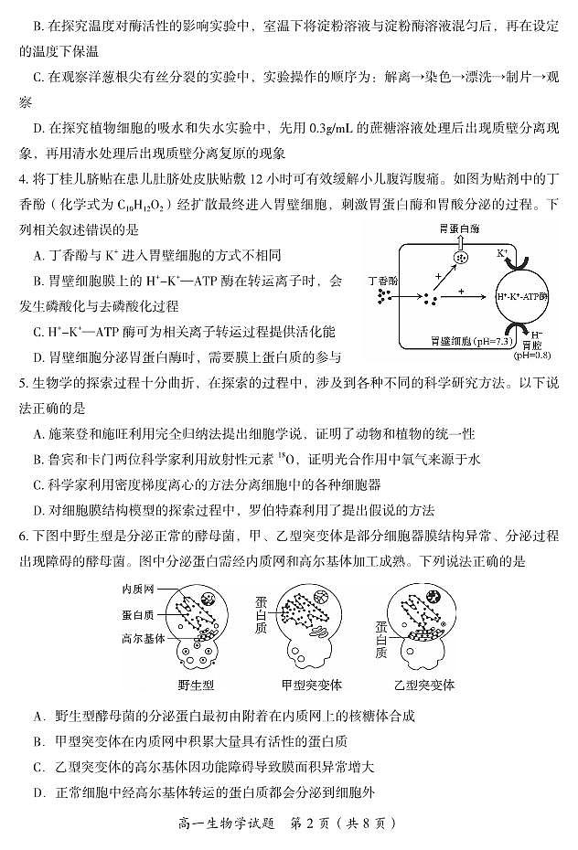 湖南省郴州市2024-2025学年高一上学期期末考试试题生物试卷+答案第2页