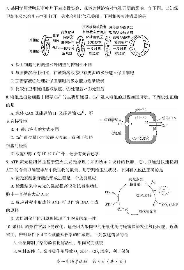 湖南省郴州市2024-2025学年高一上学期期末考试试题生物试卷+答案第3页