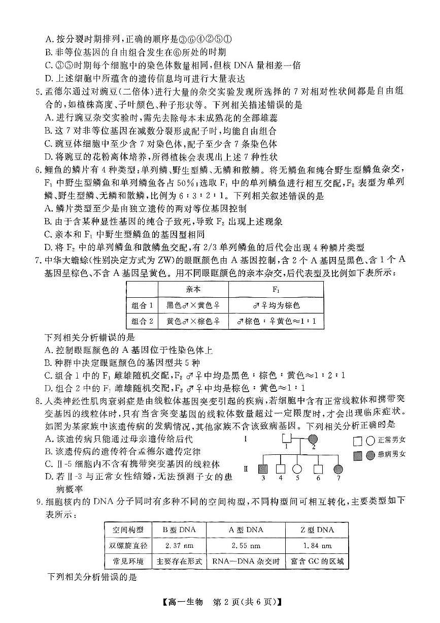 山西省临汾部分学校2024-2025学年高一下学期期末联考试题生物试卷+答案第2页