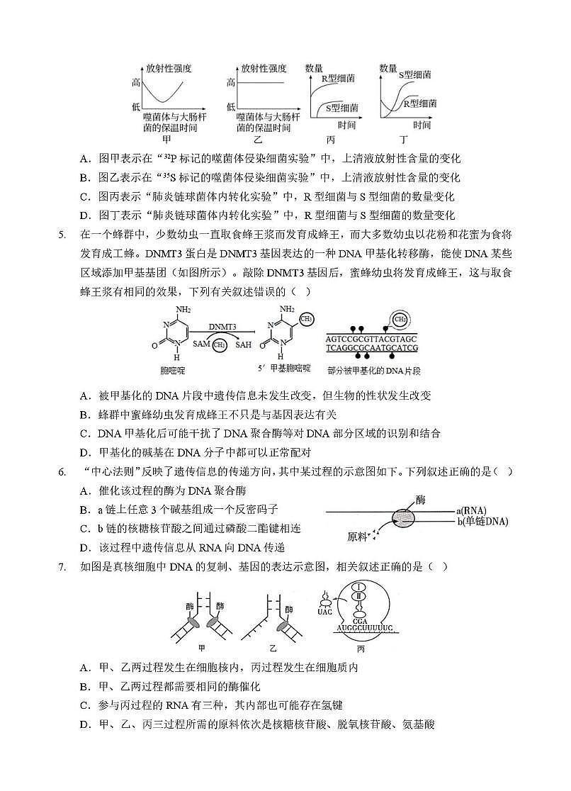 湖北省孝感市2025-2026学年高二上学期9月起点考试生物试卷（有答案）第2页