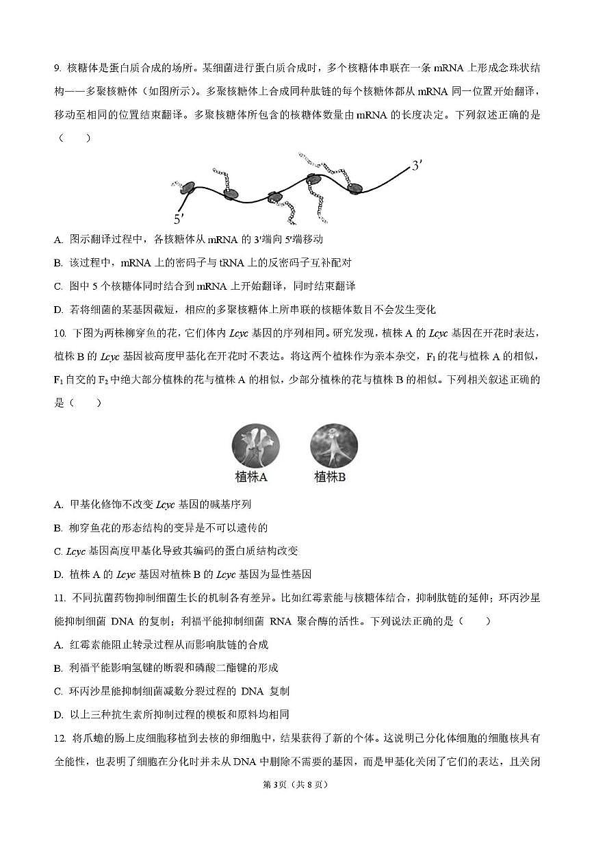 四川省德阳市第五中学2025-2026学年高二上学期开学考试生物试题(含答案)第3页