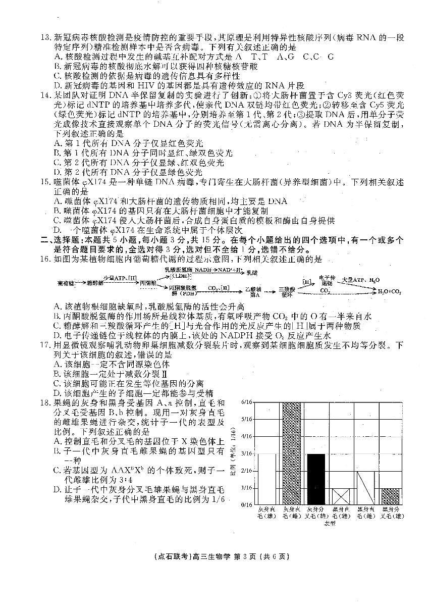 生物试卷-辽宁点石联考2025-2026学年高三10月联合考试第3页