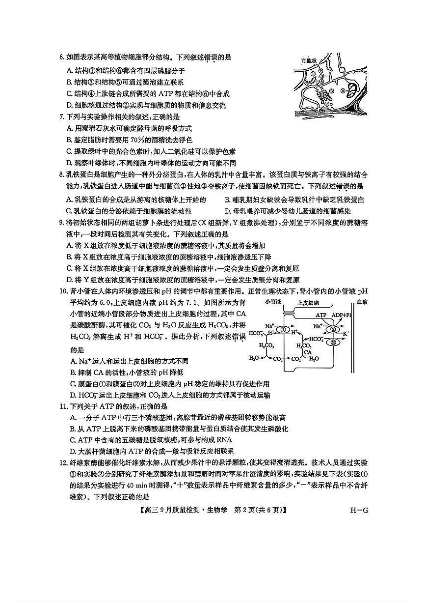 九师联盟2026届高三上学期10月10联考试题 生物 PDF版含解析第2页