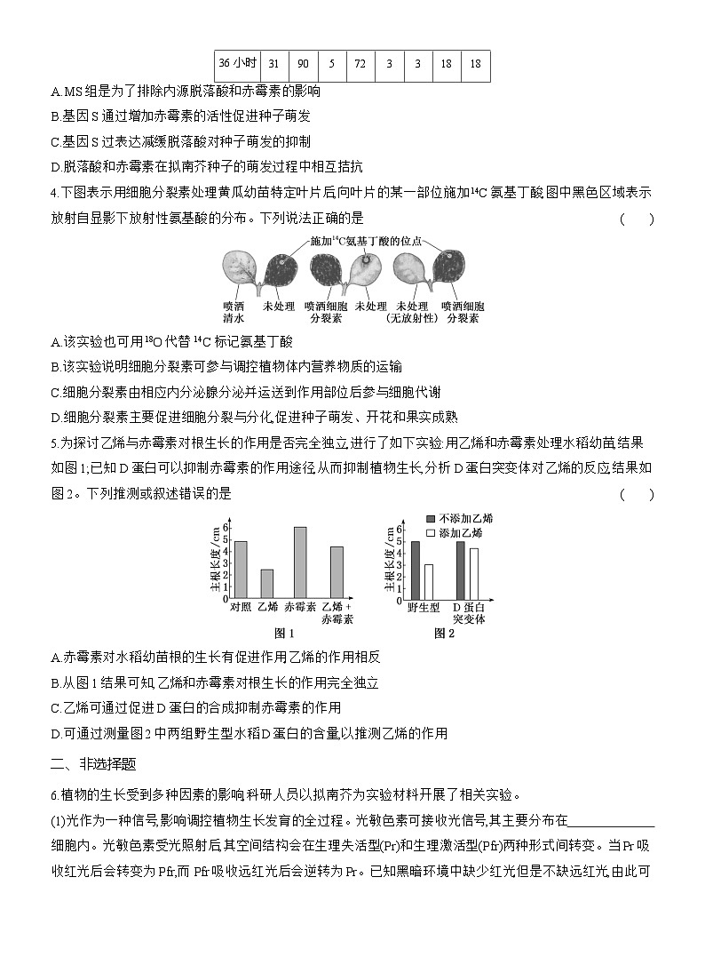 高二生物（人教版）试题选择性必修一第12周周末作业“植物生命活动调节”综合提能练（Word版附解析）第2页