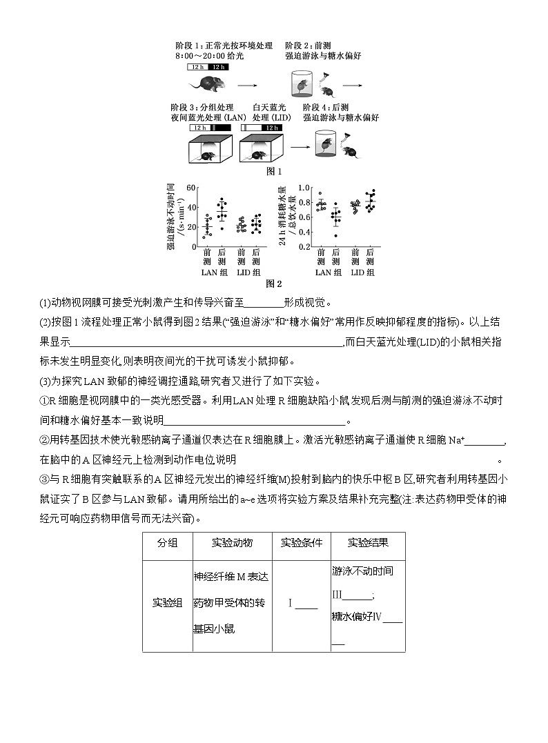 高二生物（人教版）试题选择性必修一第4周周末作业“神经调节”综合提能练（Word版附解析）第3页