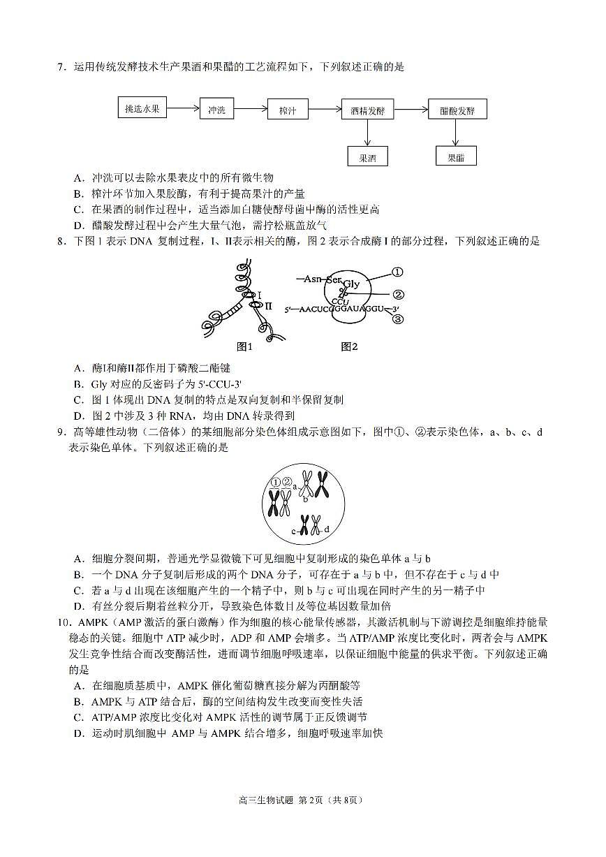 江浙皖县中发展共同体2026届高三上学期10月考生物试题+答案第2页