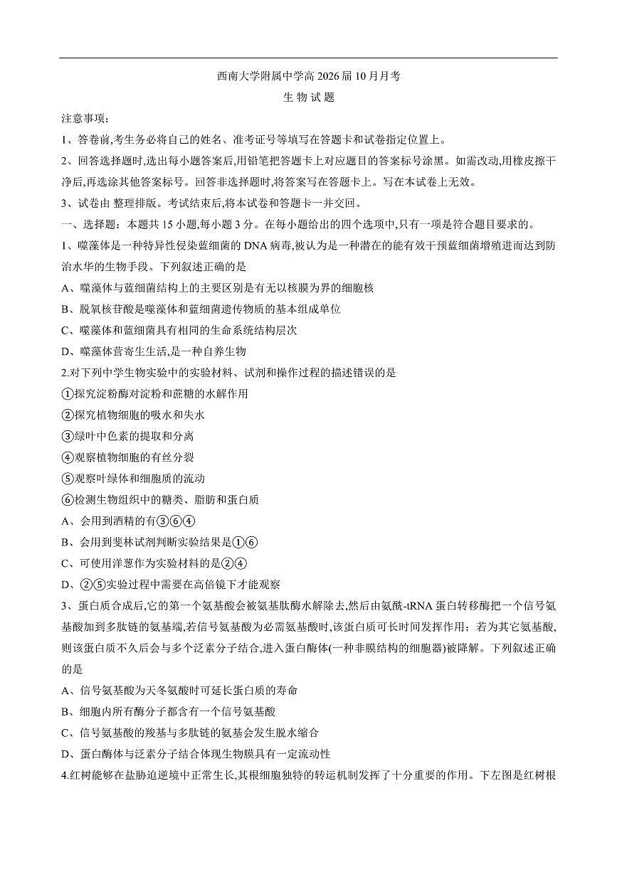 重庆西南大学附属中学2026届高三上学期10月月考生物试题无答案第1页