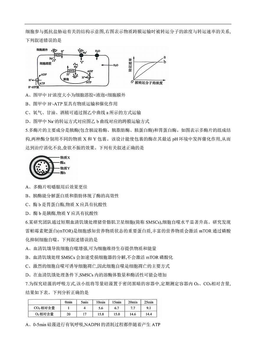 重庆西南大学附属中学2026届高三上学期10月月考生物试题无答案第2页