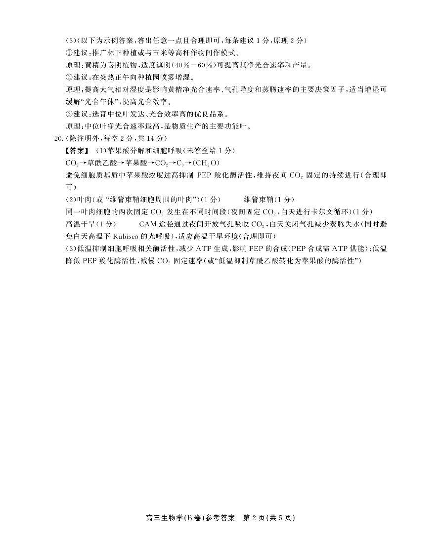 2025-2026学年鼎尖名校大联考+生物(B)答案第2页