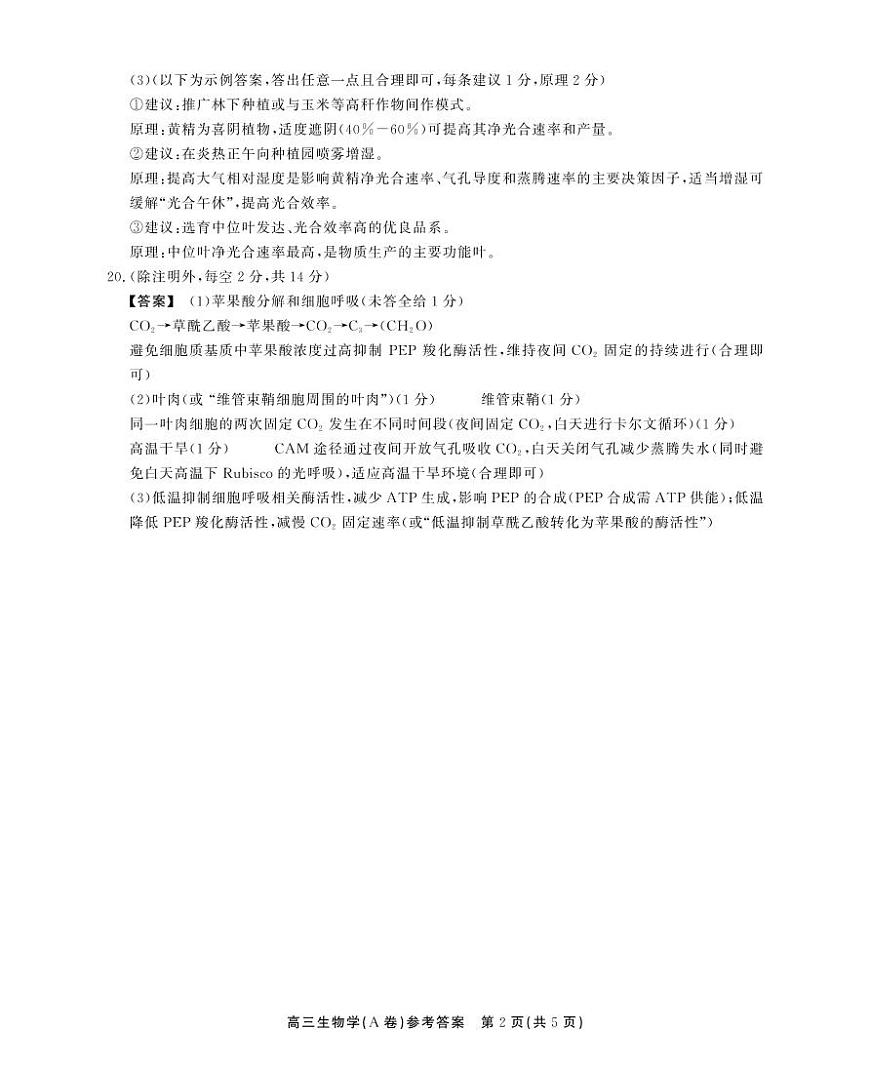 2025-2026学年鼎尖名校大联考+生物(A)答案第2页