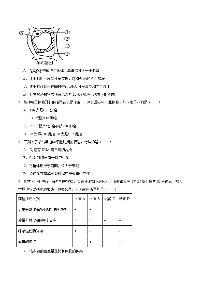 浙江省浙南名校联盟2025-2026学年高三上学期10月联考生物试题（Word版附答案）第2页