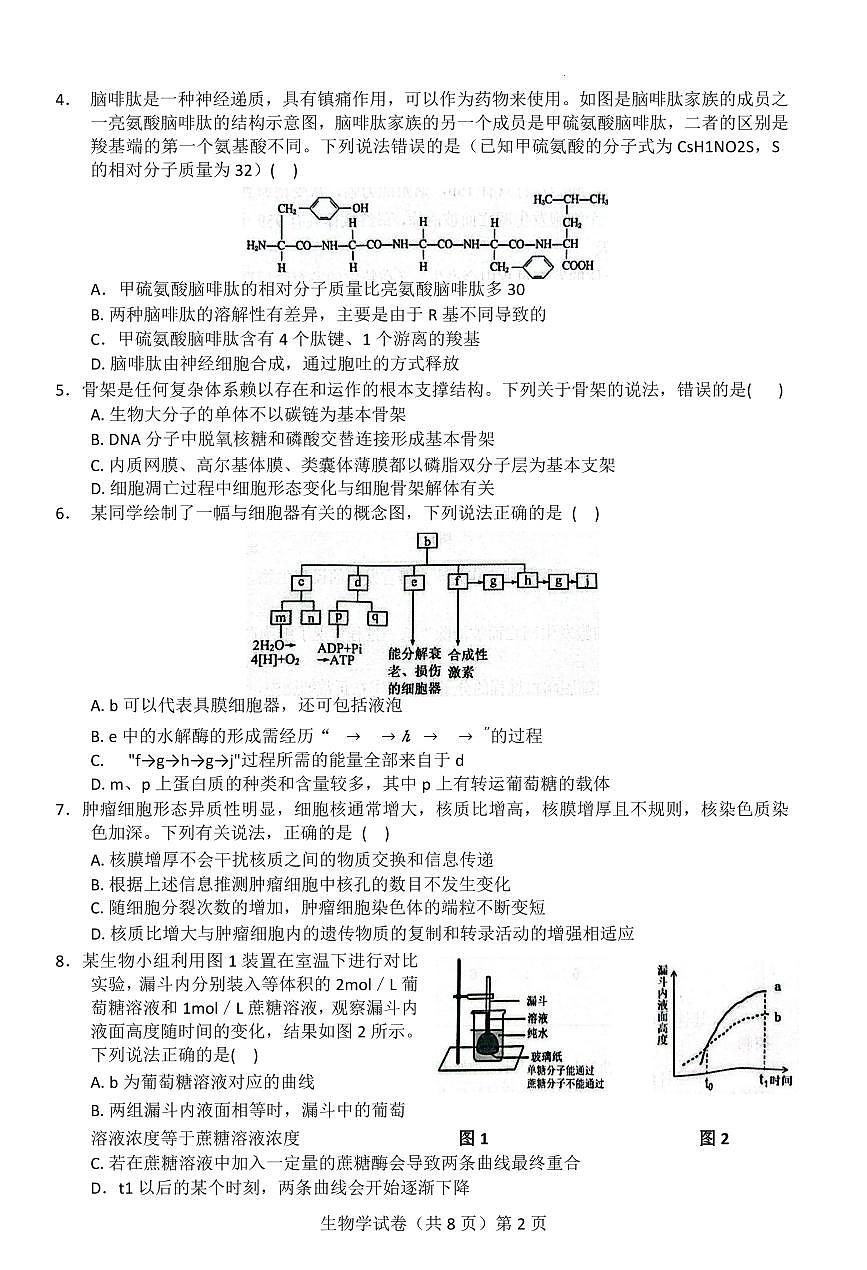 【新八校】高三生物试卷第2页