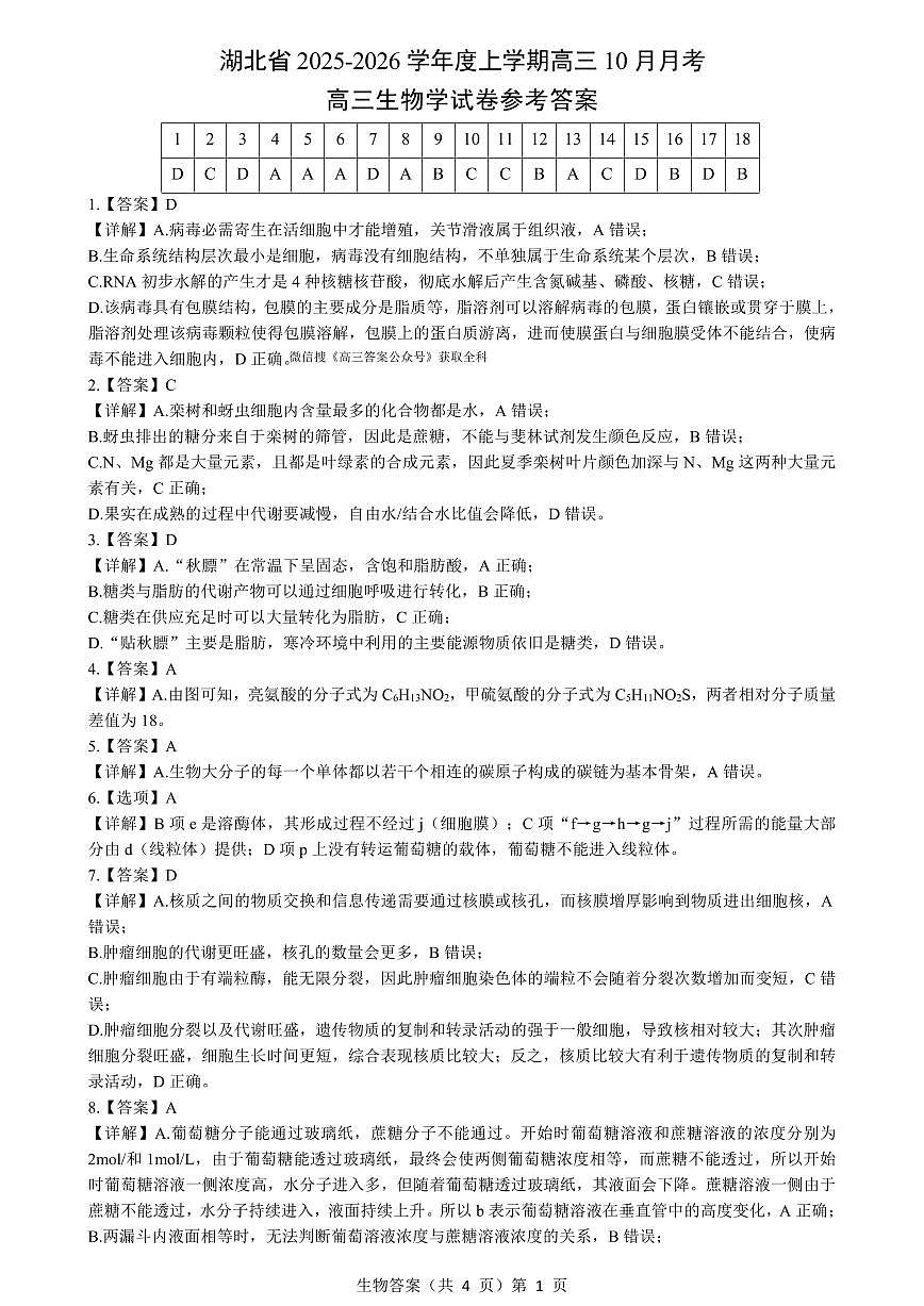 【新八校】高三生物参考答案第1页