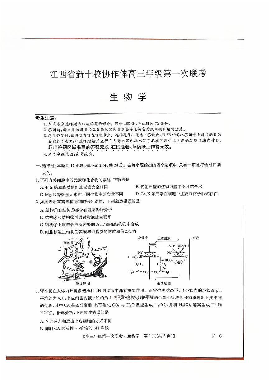 2025年江西九师联盟高三上学期10月生物试题及答案第1页