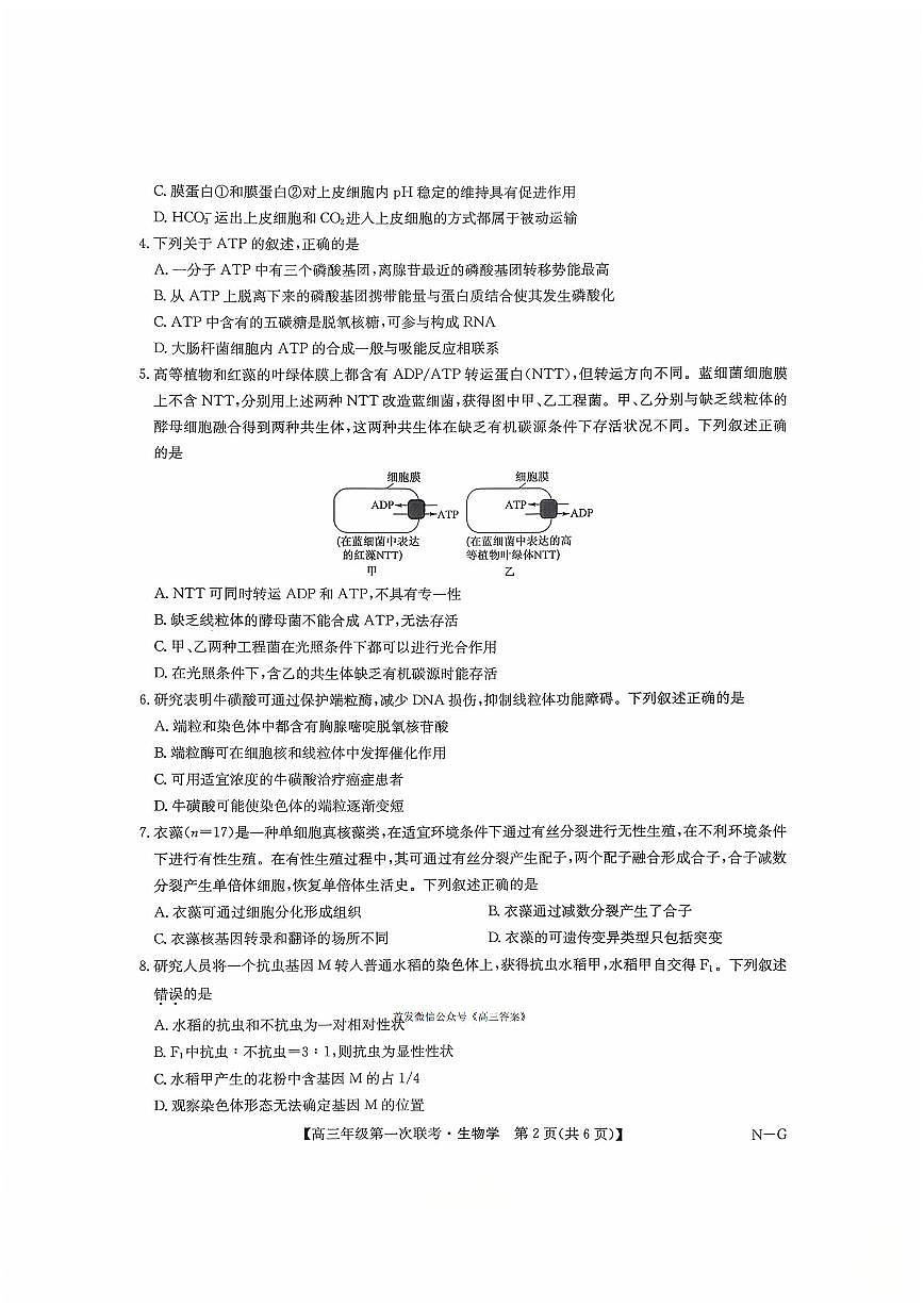 2025年江西九师联盟高三上学期10月生物试题及答案第2页