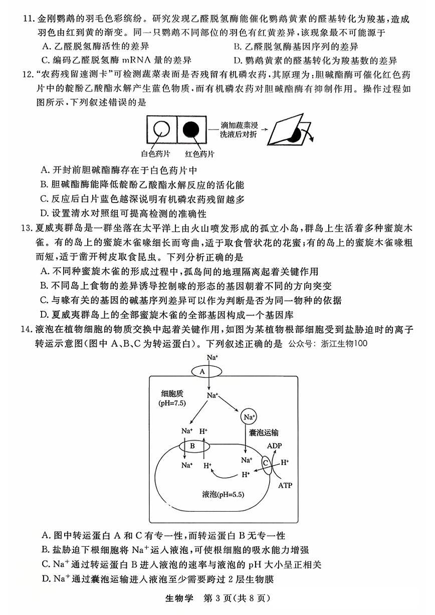 浙江强基联盟2025年10月高三联考+生物第3页