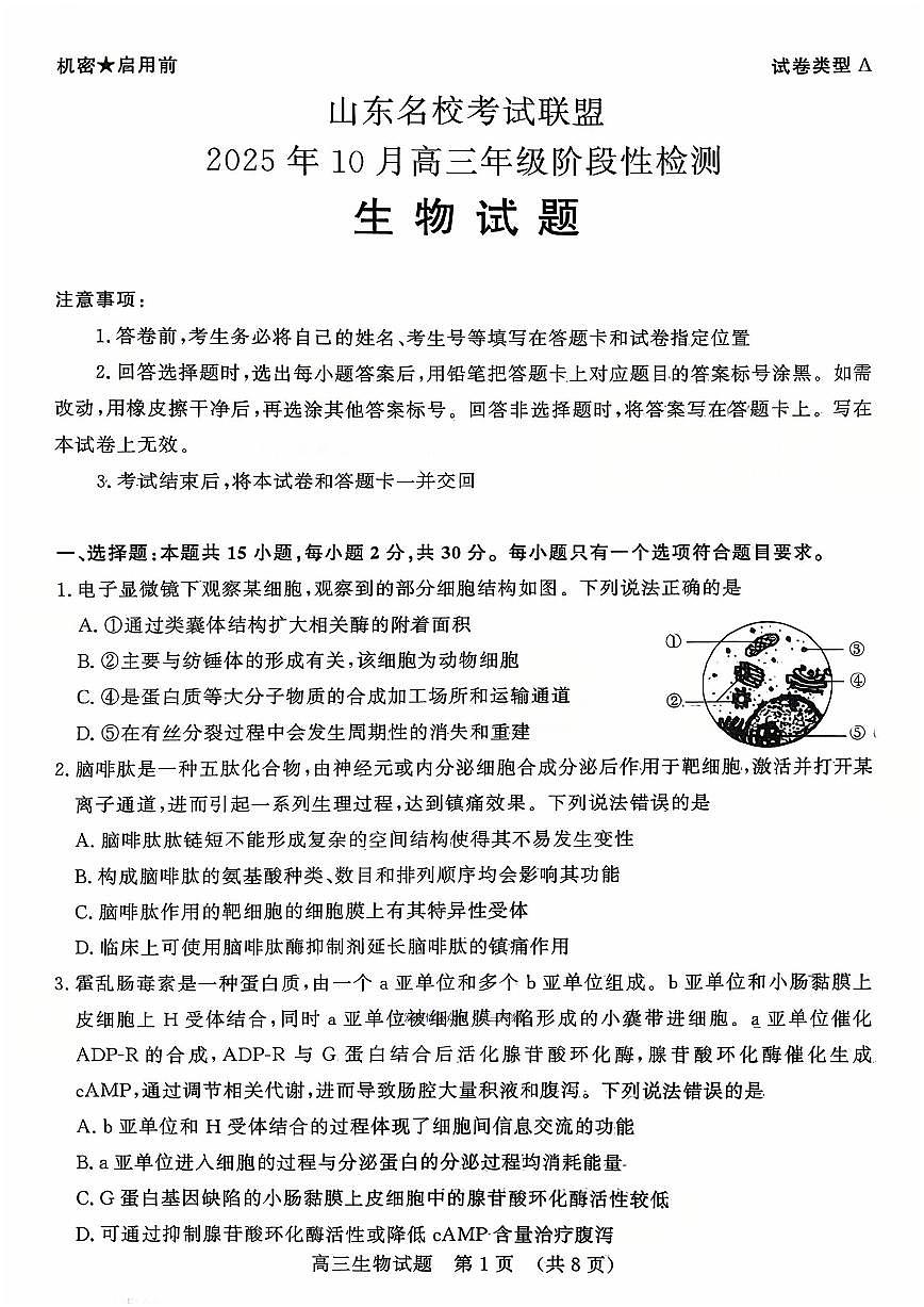2025年山东名校联盟高三上学期10月生物试题及答案第1页