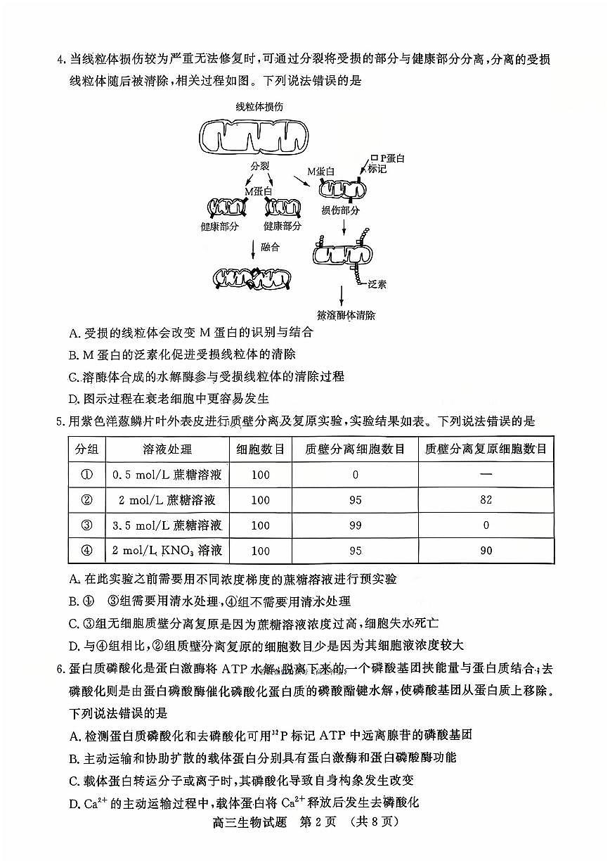 2025年山东名校联盟高三上学期10月生物试题及答案第2页