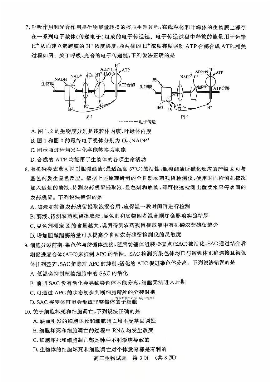 2025年山东名校联盟高三上学期10月生物试题及答案第3页