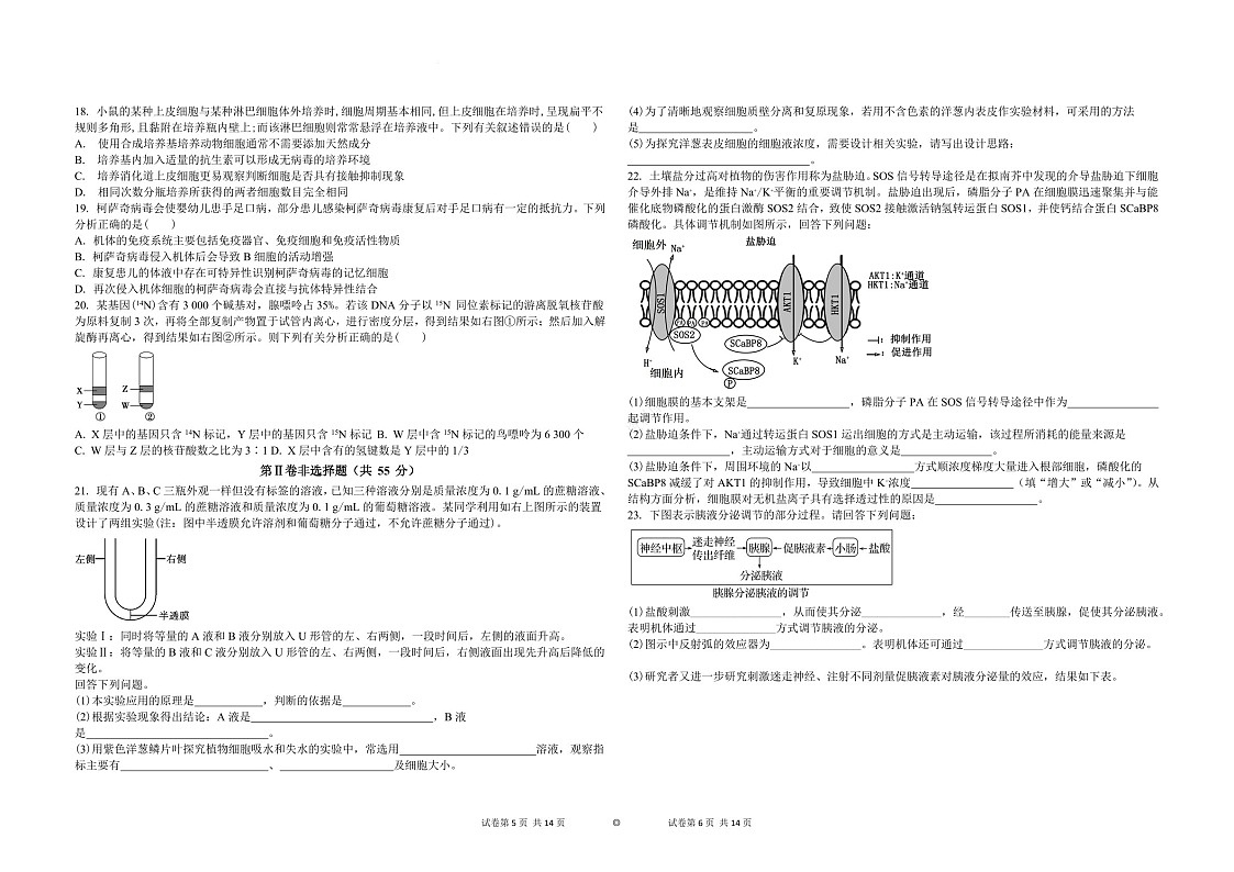 吉林省白城市实验高级中学2025届高三上学期1月期末考试-生物试题（含答案）第3页