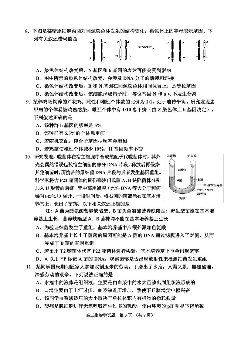 吉林省吉林市普通中学2025届高三上学期第二次调研测试-生物试卷（含答案）第3页