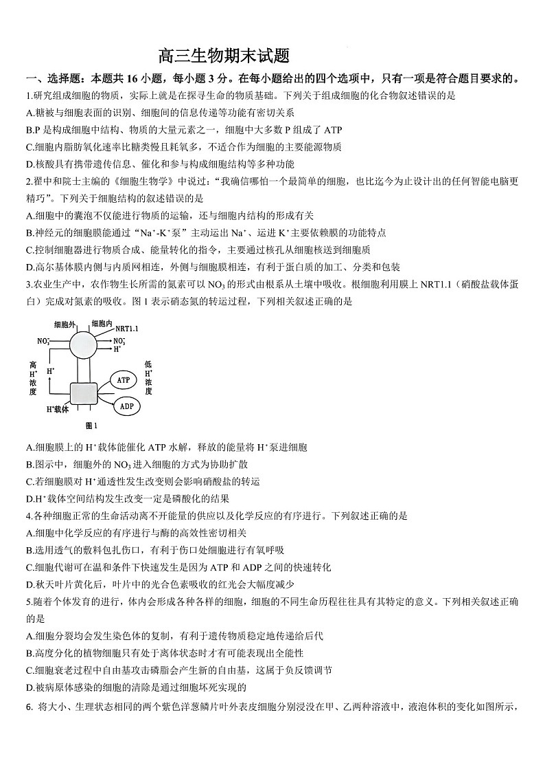 吉林省通化市梅河口市第五中学2024-2025学年高三上学期1月期末生物试题（含答案）第1页