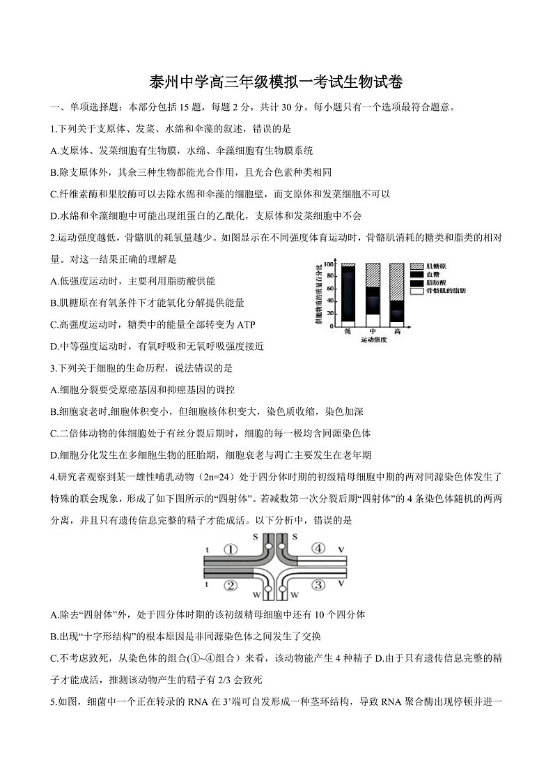 江苏省泰州中学2025届高三上学期一模试题-生物试题（含答案）第1页
