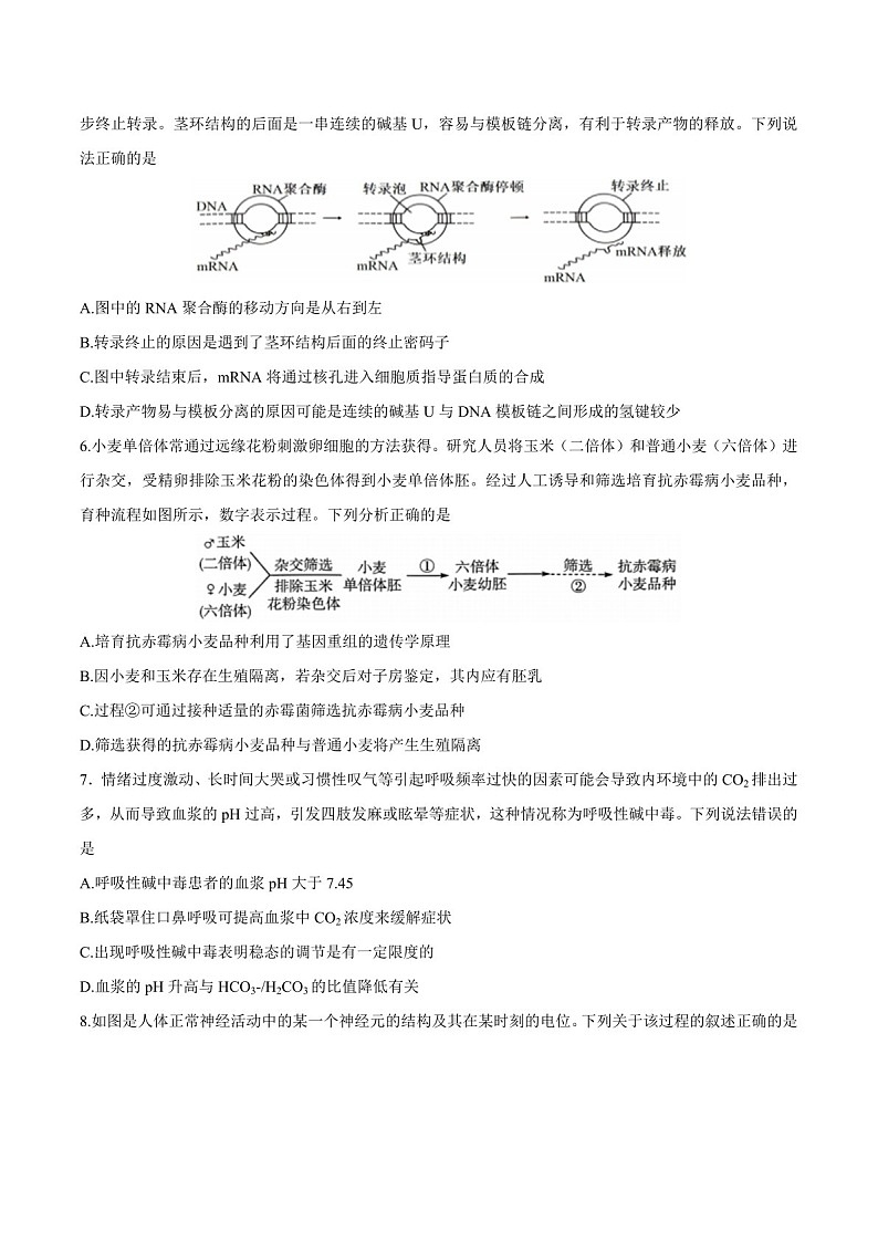 江苏省泰州中学2025届高三上学期一模试题-生物试题（含答案）第2页