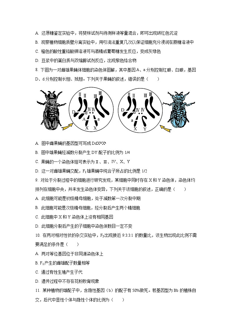 江苏省盐城市2024-2025学年高一下学期6月期终考试生物试卷（学生版）第3页