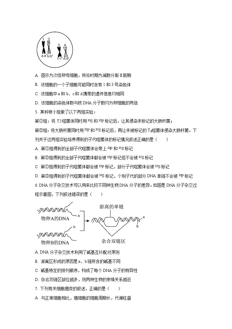 湖南省沅澧共同体2024-2025学年高一下学期期末考试生物试卷（学生版）第2页