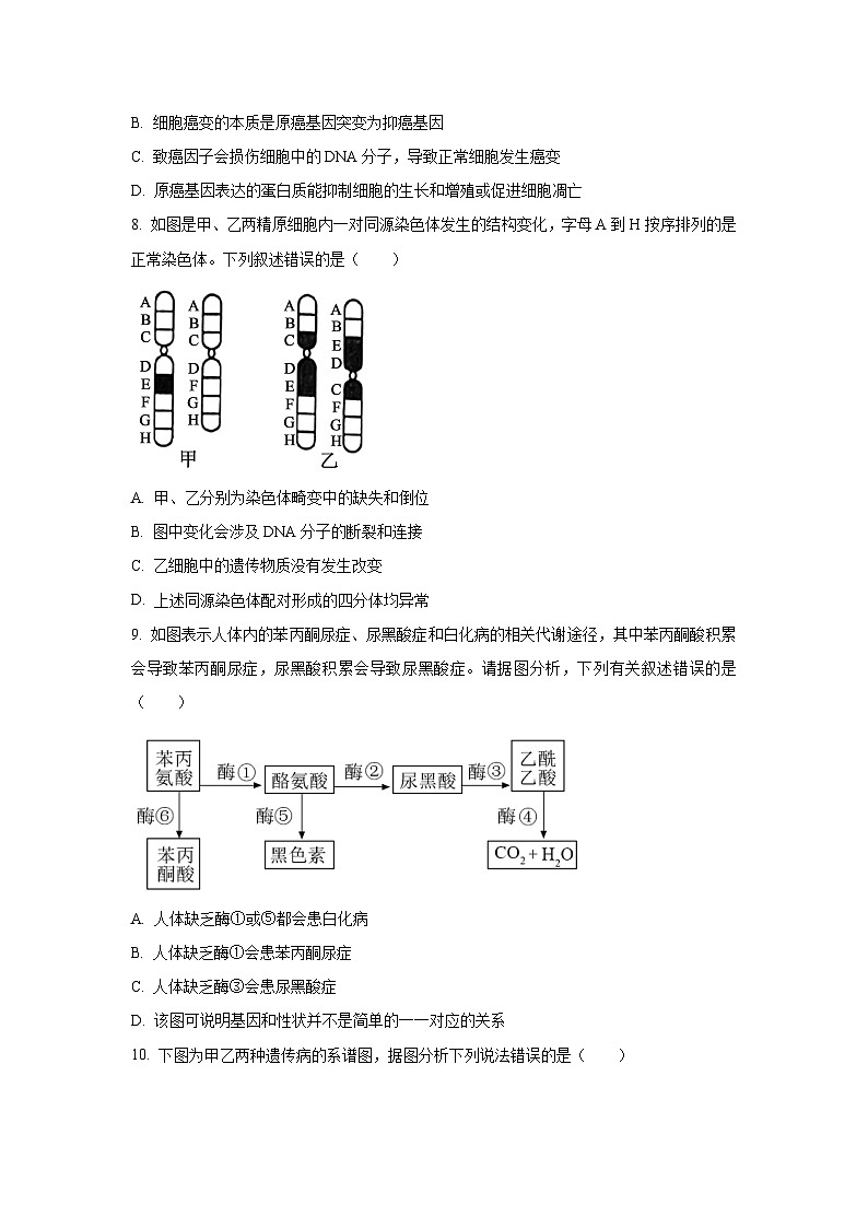 湖南省沅澧共同体2024-2025学年高一下学期期末考试生物试卷（学生版）第3页