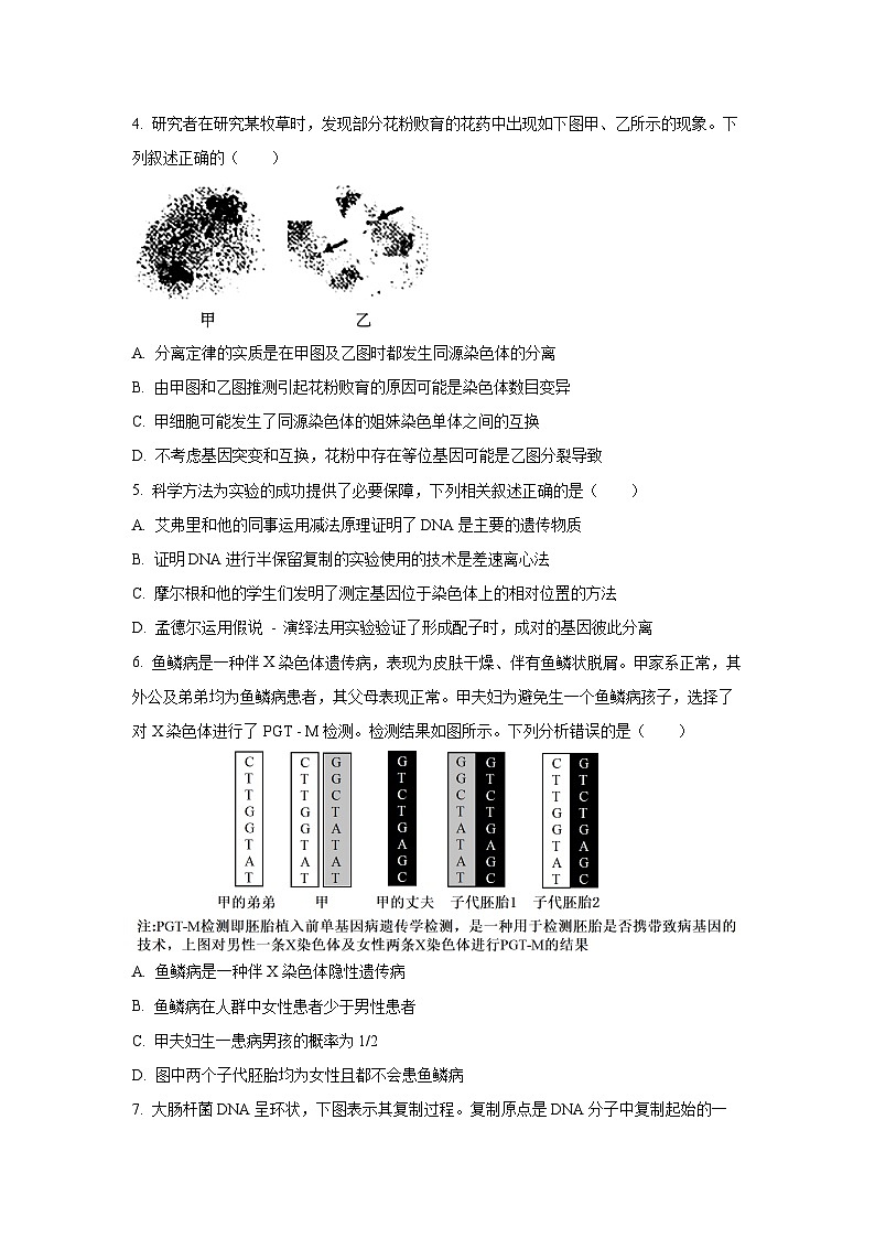 陕西省商洛市2024-2025学年高一下学期期末教学质量抽样监测生物试卷（学生版）第2页