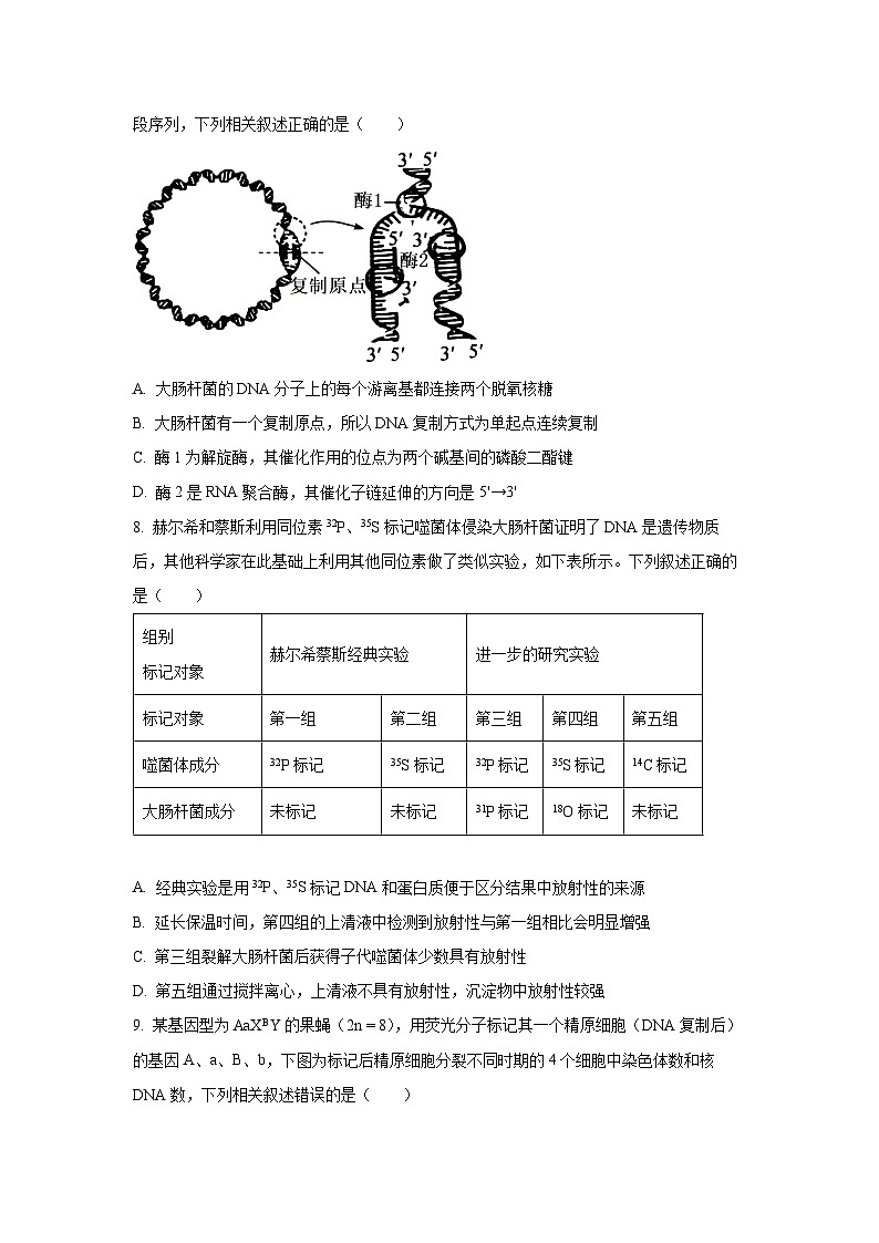 陕西省商洛市2024-2025学年高一下学期期末教学质量抽样监测生物试卷（学生版）第3页