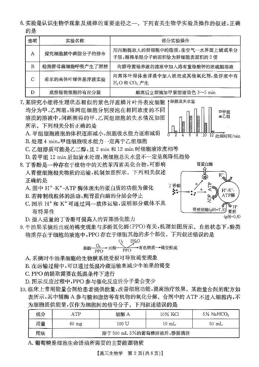 2025-2026学年山东省年高三上学期10月联考生物试题及参考答案第2页