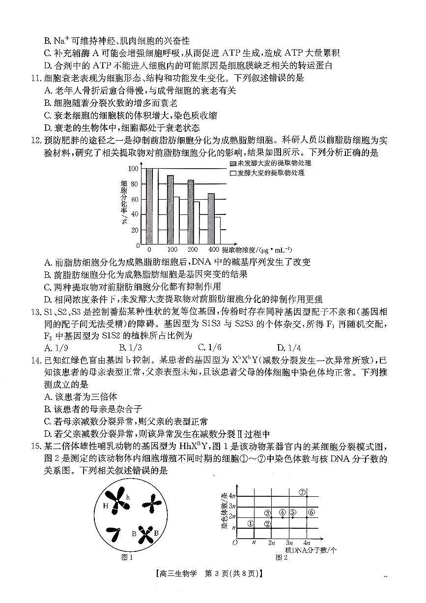 2025-2026学年山东省年高三上学期10月联考生物试题及参考答案第3页