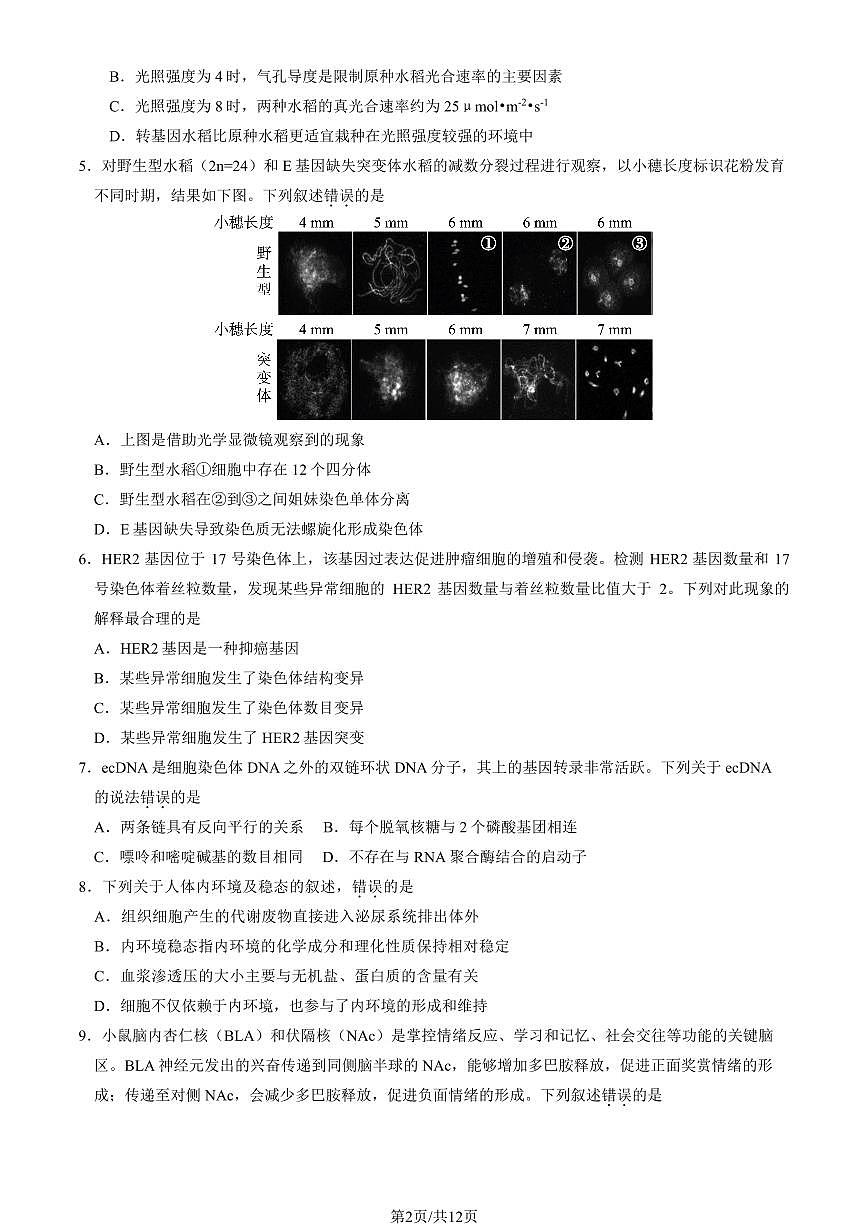 北京市东城区2025届高三生物下学期4月一模试题pdf第2页