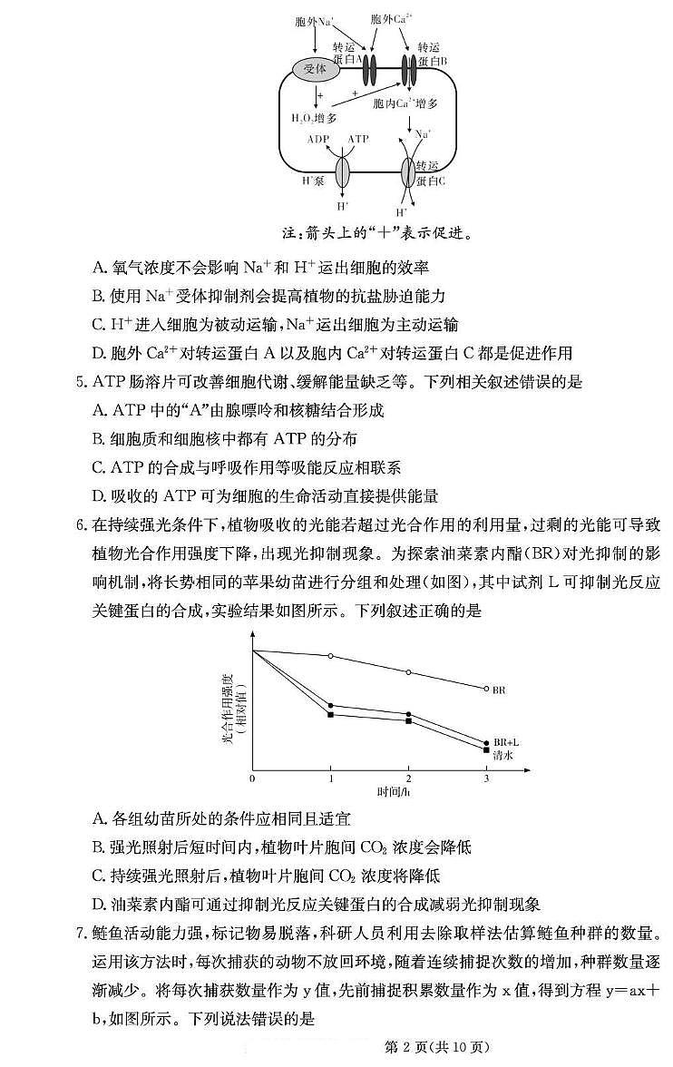 湖南省2026届高三生物上学期月考一pdf含解析第2页