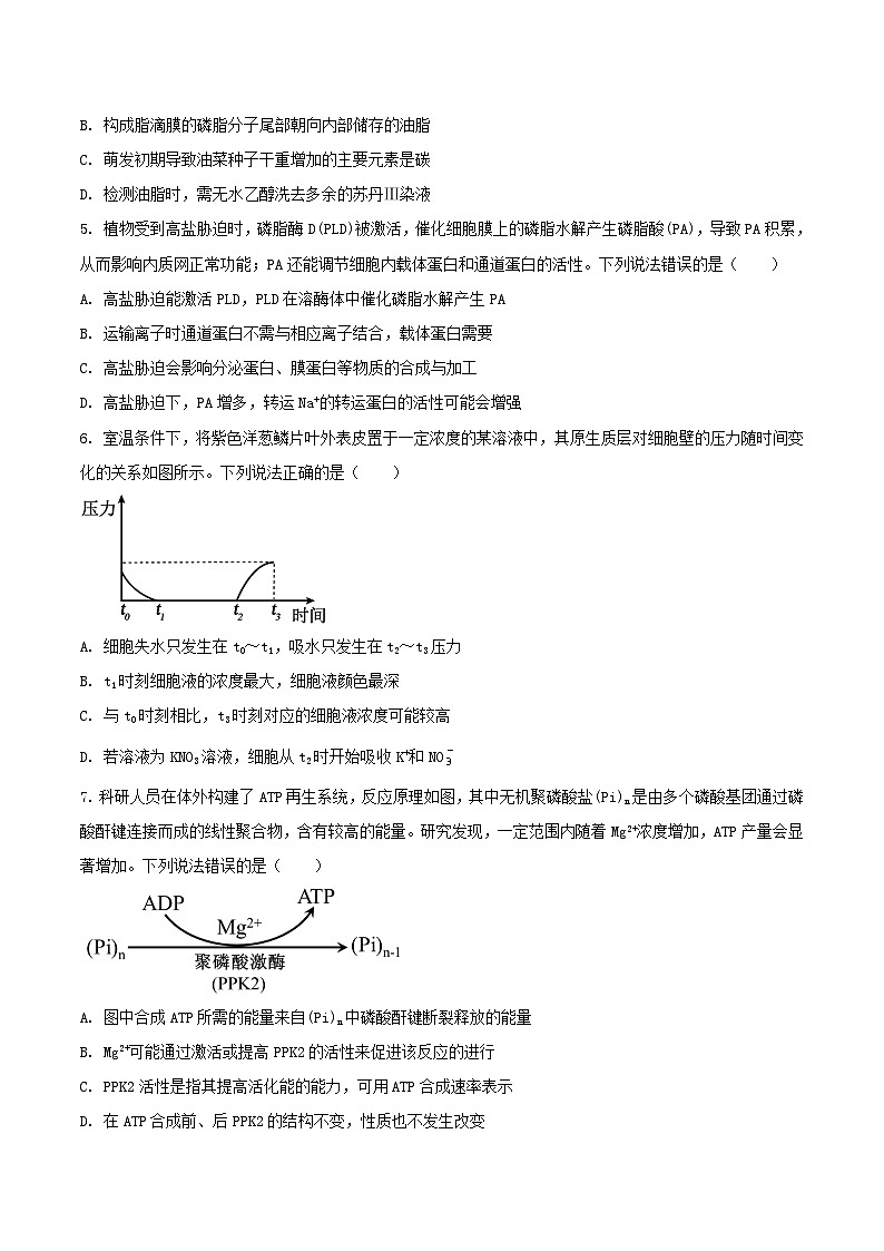 山东省烟台市2024_2025学年高二生物下学期期末考试第2页