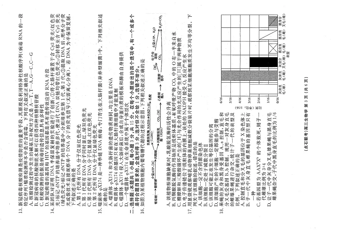 辽宁省点石联考2025-2026学年高三上学期10月联考生物试卷第3页