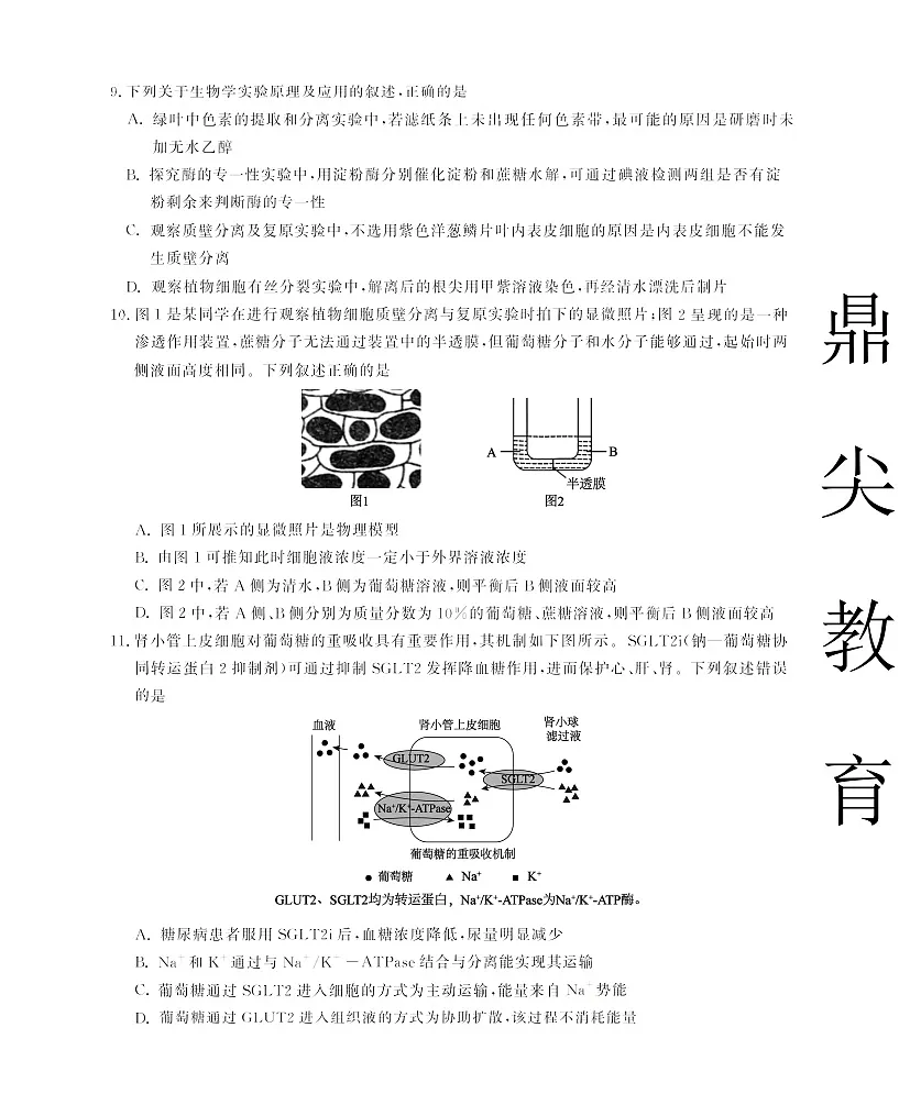 安徽省名校联考2025-2026学年高三上学期10月月考生物试卷第3页