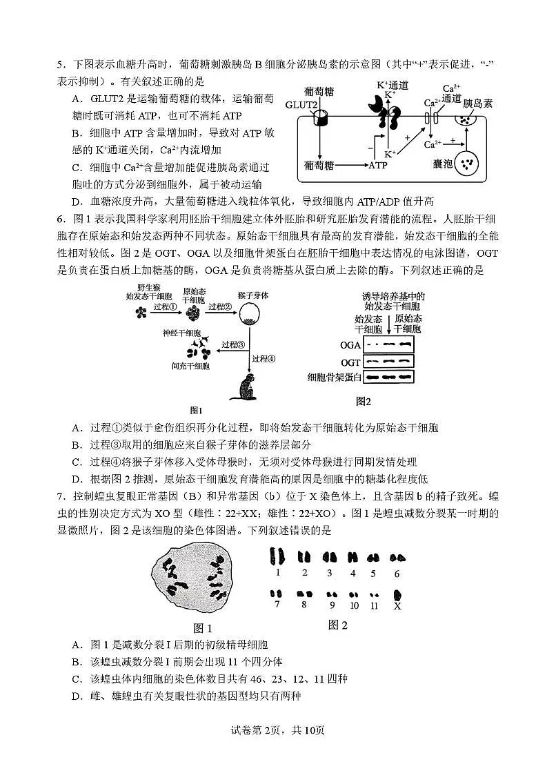 福建省厦门市第一中学2025-2026学年高三上学期10月月考生物试题第2页