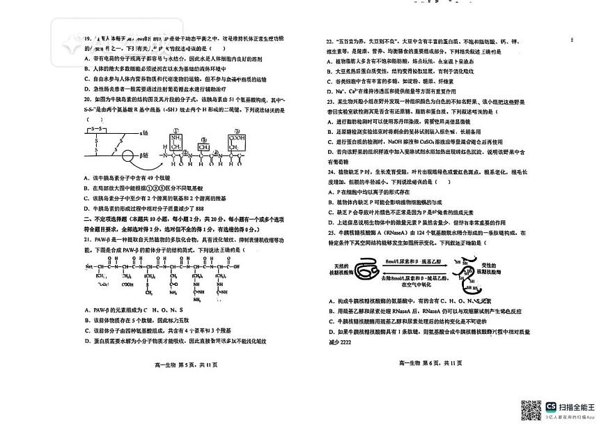 黑龙江省哈尔滨市南岗区哈尔滨市第三中学校2025-2026学年高一上学期10月月考生物试题第3页