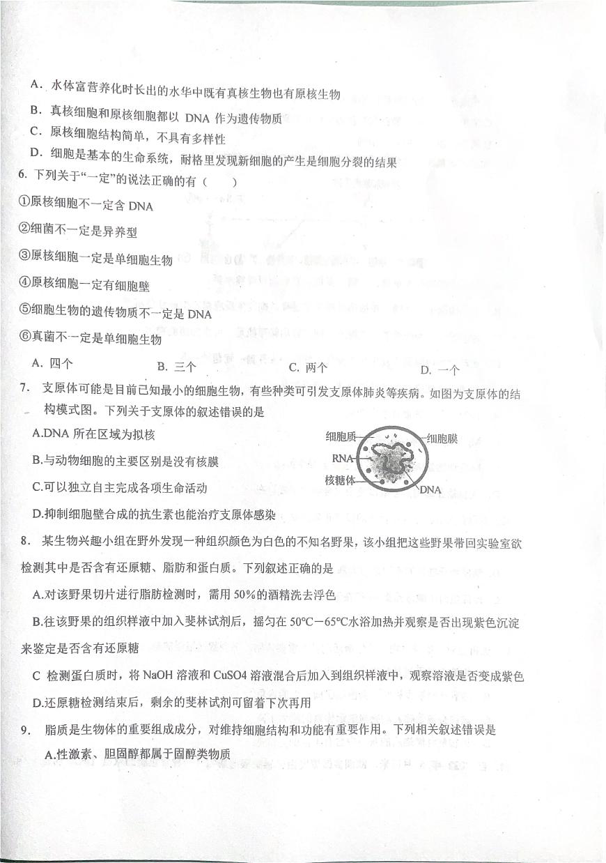 江苏省阜宁中学2025-2026学年高一上学期10月月考生物试题第2页