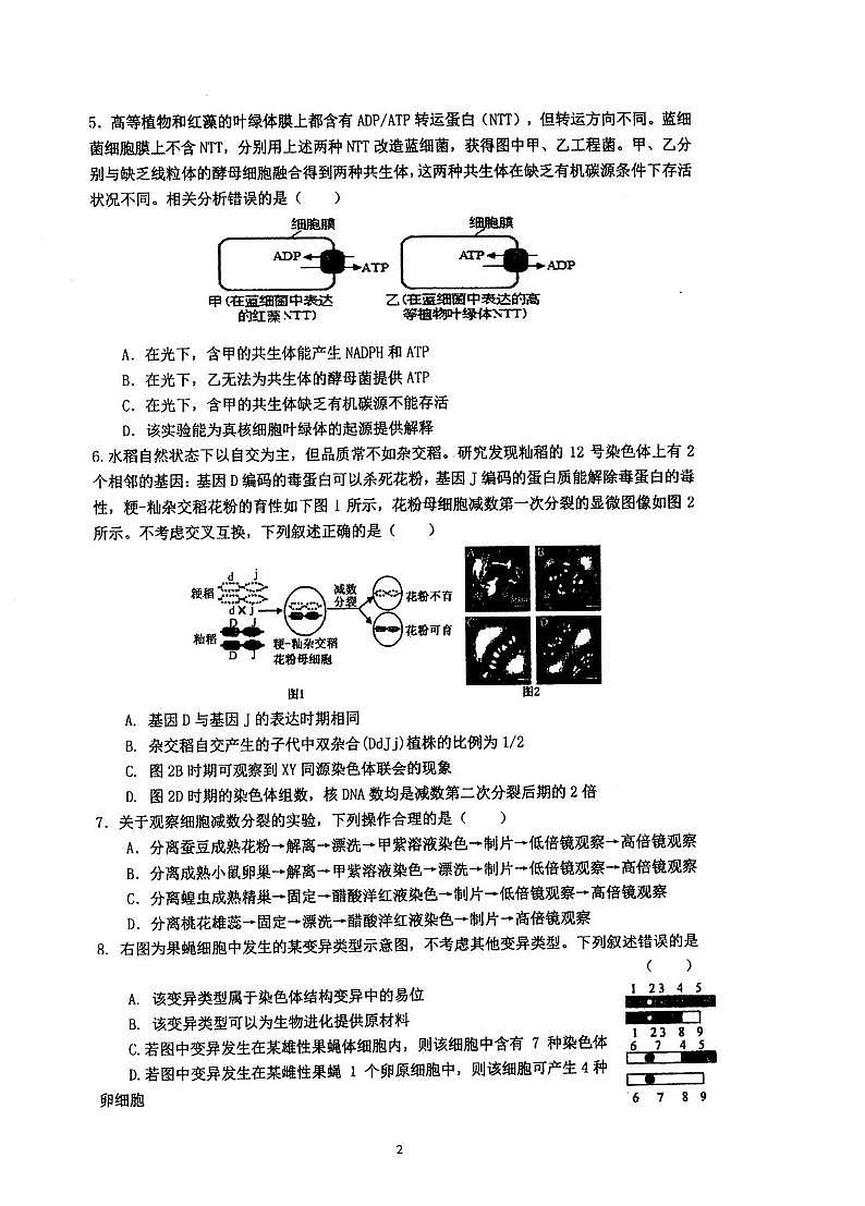 江苏省泰州市海陵区江苏省泰州中学2025-2026学年高三上学期10月月考生物试题第2页